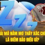 Giải Mã Nằm Mơ Thấy Xác Chết Là Điềm Báo Điều Gì?
